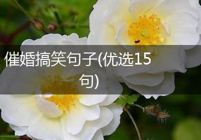 催婚搞笑句子(优选15句)