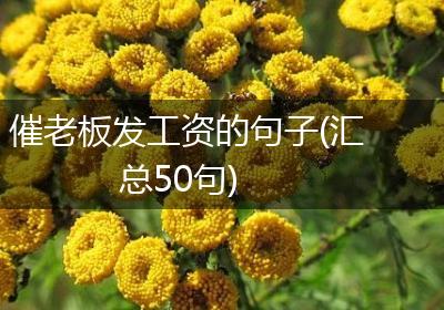 催老板发工资的句子(汇总50句)