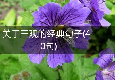 关于三观的经典句子(40句)