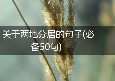 关于两地分居的句子(必备50句)