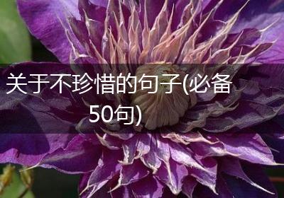 关于不珍惜的句子(必备50句)