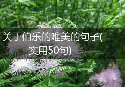 关于伯乐的唯美的句子(实用50句)