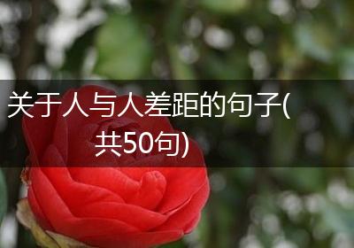 关于人与人差距的句子(共50句)