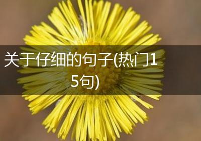 关于仔细的句子(热门15句)