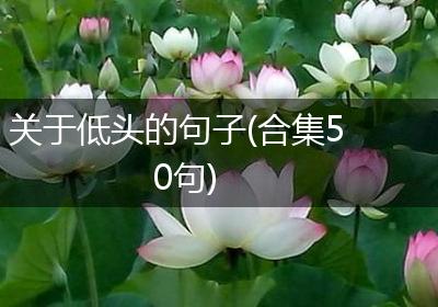 关于低头的句子(合集50句)