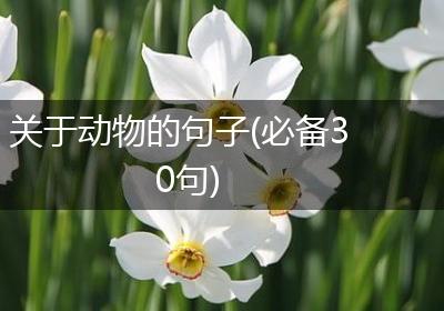 关于动物的句子(必备30句)
