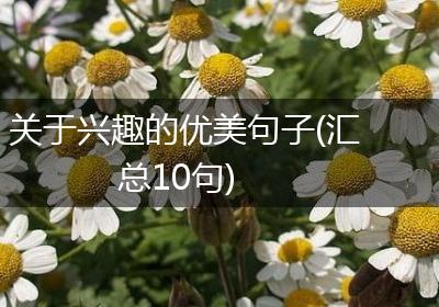 关于兴趣的优美句子(汇总10句)