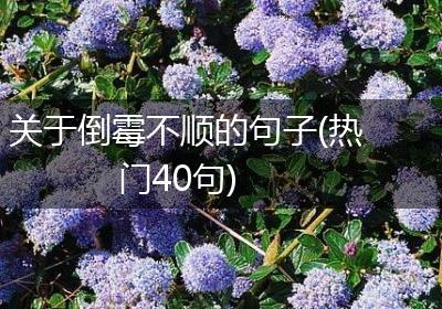 关于倒霉不顺的句子(热门40句)