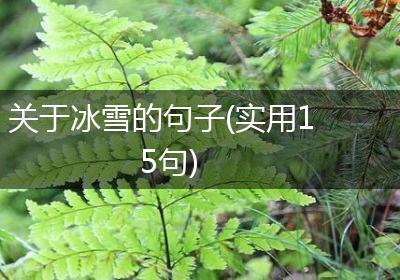 关于冰雪的句子(实用15句)