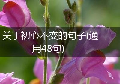 关于初心不变的句子(通用48句)