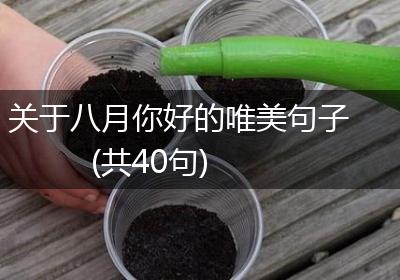 关于八月你好的唯美句子(共40句)