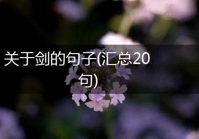 关于剑的句子(汇总20句)
