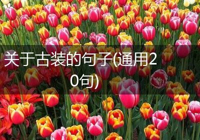 关于古装的句子(通用20句)