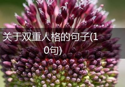 关于双重人格的句子(10句)