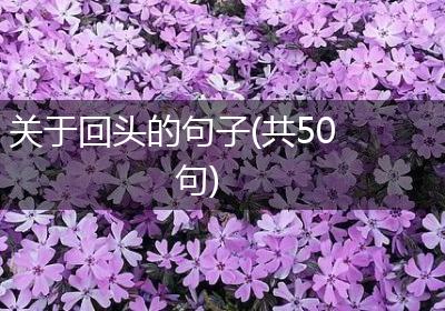 关于回头的句子(共50句)