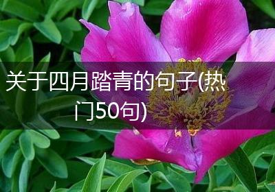 关于四月踏青的句子(热门50句)