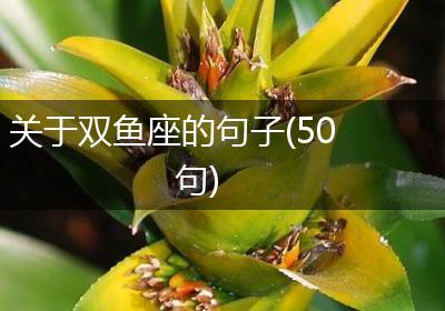 关于双鱼座的句子(50句)
