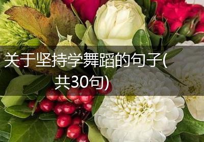 关于坚持学舞蹈的句子(共30句)