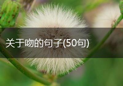 关于吻的句子(50句)