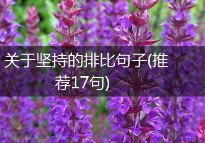 关于坚持的排比句子(推荐17句)