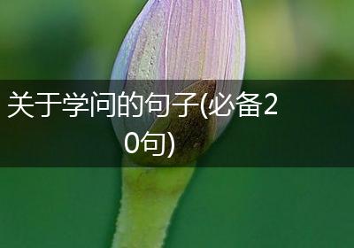 关于学问的句子(必备20句)
