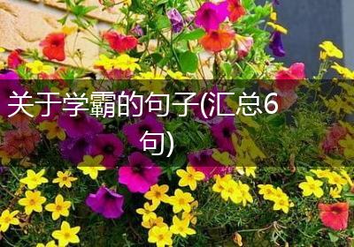 关于学霸的句子(汇总6句)
