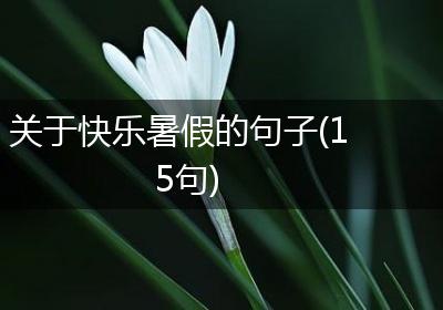 关于快乐暑假的句子(15句)