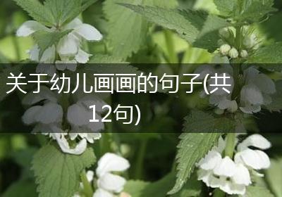 关于幼儿画画的句子(共12句)