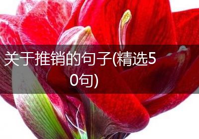 关于推销的句子(精选50句)