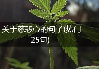 关于慈悲心的句子(热门25句)