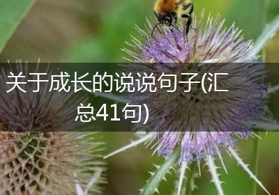关于成长的说说句子(汇总41句)