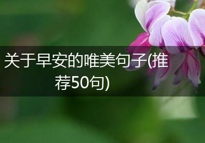 关于早安的唯美句子(推荐50句)