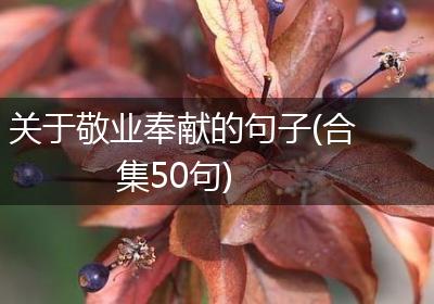 关于敬业奉献的句子(合集50句)