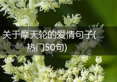 关于摩天轮的爱情句子(热门50句)