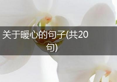 关于暖心的句子(共20句)