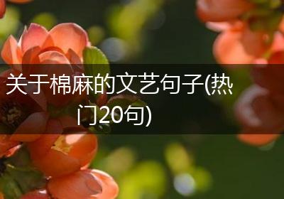 关于棉麻的文艺句子(热门20句)