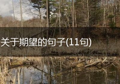 关于期望的句子(11句)