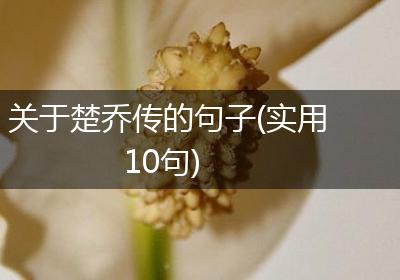 关于楚乔传的句子(实用10句)