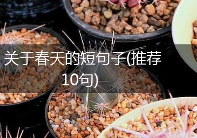 关于春天的短句子(推荐10句)