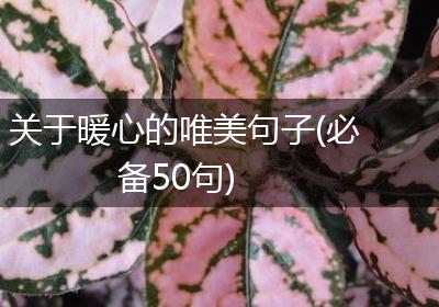关于暖心的唯美句子(必备50句)