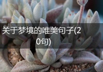 关于梦境的唯美句子(20句)