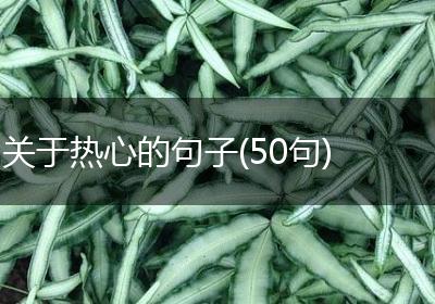 关于热心的句子(50句)
