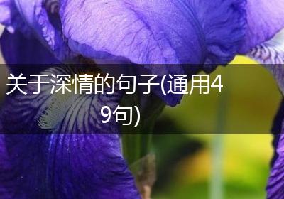 关于深情的句子(通用49句)