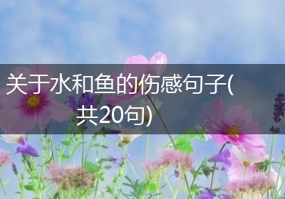 关于水和鱼的伤感句子(共20句)