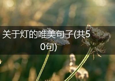 关于灯的唯美句子(共50句)