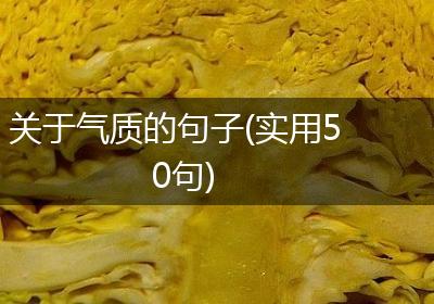 关于气质的句子(实用50句)