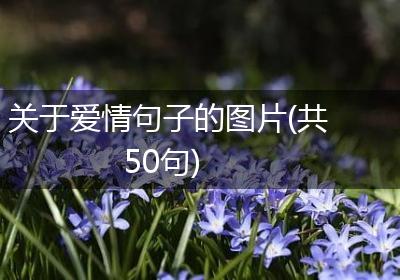 关于爱情句子的图片(共50句)