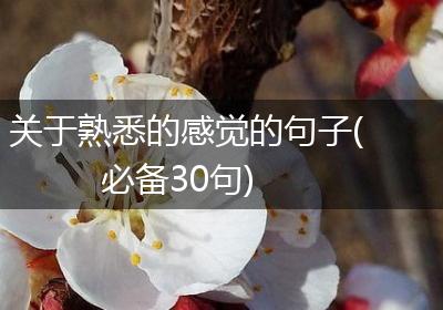 关于熟悉的感觉的句子(必备30句)