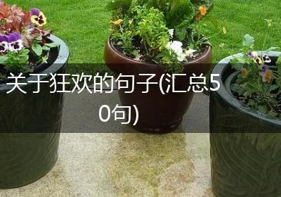 关于狂欢的句子(汇总50句)