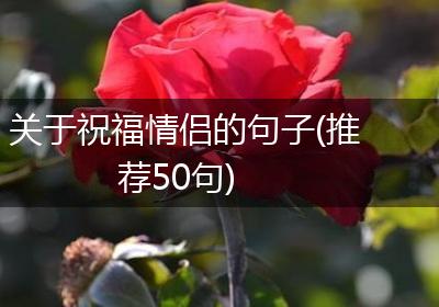 关于祝福情侣的句子(推荐50句)